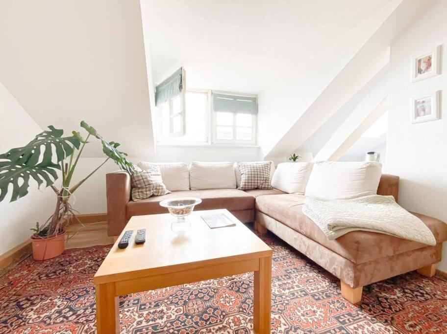 Schoene Ferienwohnung Mit Blick Ueber Stadtwald Lipsk Zewnętrze zdjęcie
